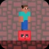 Steve Red Dark